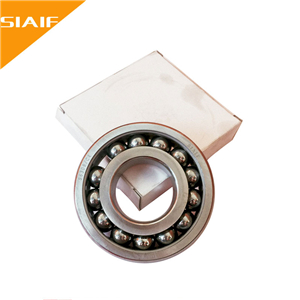 500度满球耐高温国产AV麻豆美艳房东苏语棠6005ZZ